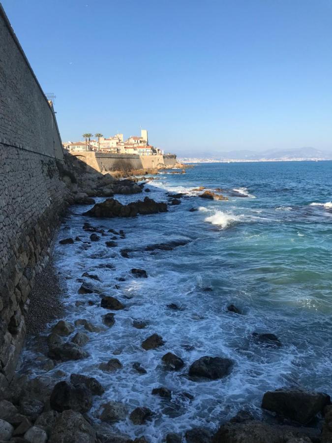 Antibes Tres Belle Situation ! Daire Dış mekan fotoğraf